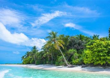 Diese private Insel in Fidschi ist eines der traumhaftesten Reiseziele für Weinkenner. Die Kellermeisterin Lily Puamau hat dabei geholfen, eine reisewürdige Weinsammlung an einem der abgelegensten Orte der Welt aufzubauen.