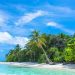 Diese private Insel in Fidschi ist eines der traumhaftesten Reiseziele für Weinkenner. Die Kellermeisterin Lily Puamau hat dabei geholfen, eine reisewürdige Weinsammlung an einem der abgelegensten Orte der Welt aufzubauen.