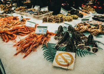 Entdecken Sie Neuseelands Südinsel über winzige Meeresfrüchte-Stände