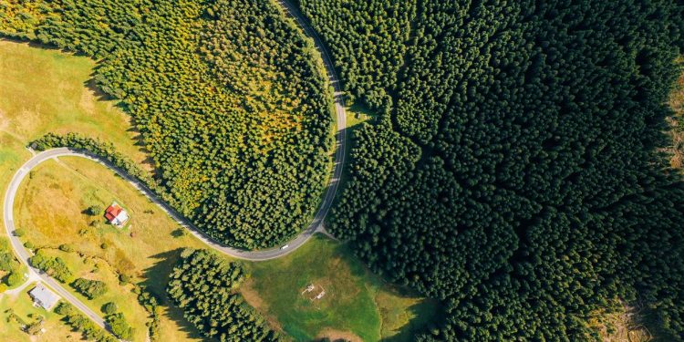 Titel: 10 wesentliche Tipps für Roadtrips 2023: Bereiten Sie sich auf lange oder länderübergreifende Abenteuer vor