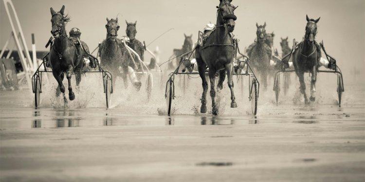 Die Organisatoren des Grand National werden keine einstweilige Verfügung gegen Animal Rising beantragen