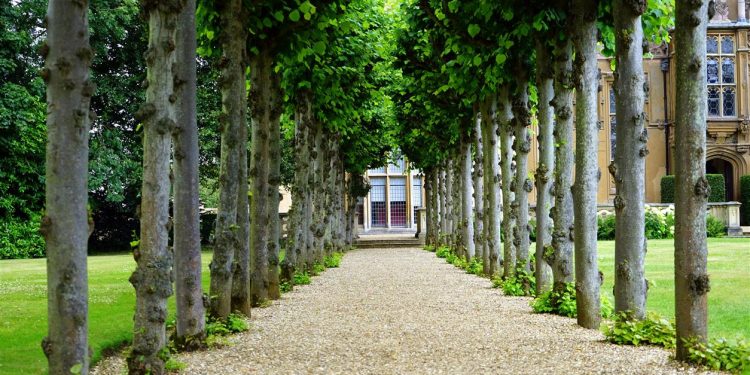 Ein ruhiger Frühlingsmorgen: Ein Spaziergang zum Kleingarten